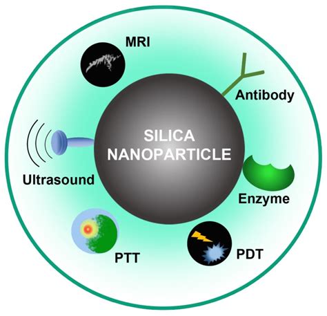 Biomedical Applications Of Silica Nanoparticles Encyclopedia Mdpi