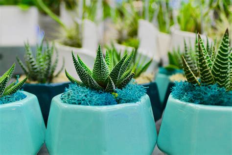 Learn about cremation services or available crypts, niches & benches. Boca Raton Flower Delivery Today - My Blog