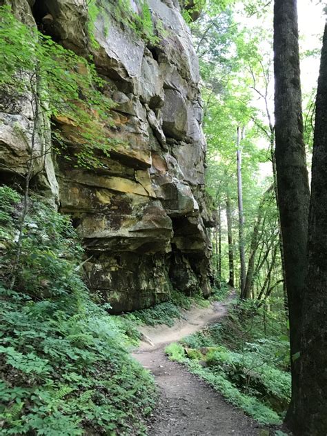 Yahoo Falls Big South Fork National Recreation Area Kentucky