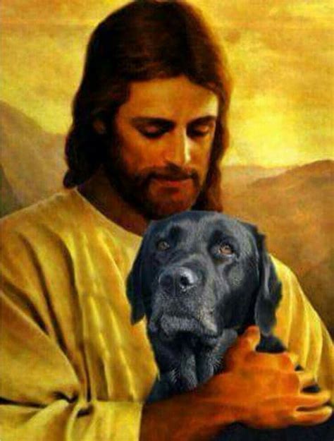 Man Rules Picture Mix Jesus Loves All Pictures Cute Animals Dogs