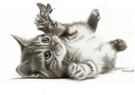 Blurry and poorly lit photos just don't do your drawings justice! Kittens Drawing at GetDrawings | Free download