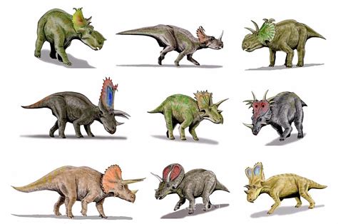 Картинки виды динозавров с названиями 28 фото