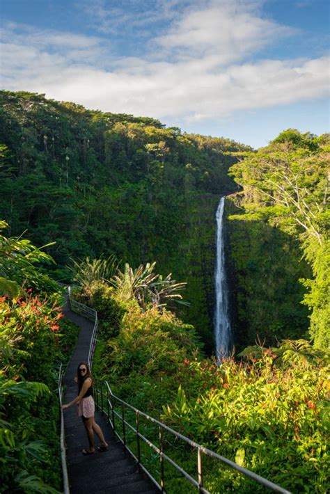 16 Magical Things To Do In Hilo Laptrinhx News