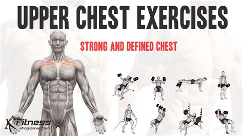 8 Best Upper Chest Exercises For A Stronger Defined Chest