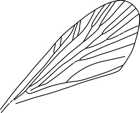 Free Clipart Insect Wing Gosc
