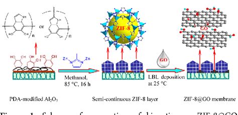 Bicontinuous Zeolitic Imidazolate Framework Zif 8 Go Membrane With Enhanced Hydrogen Selectivity