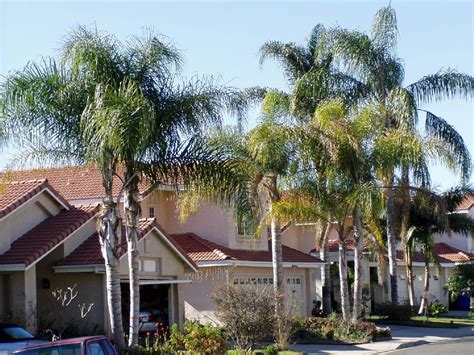 While the southern portion of arizona has a desert climate, the northern experiences moderate temperatures during summer and even snowfall during winter. Landscaping Designs pictures: Arizona backyard landscaping ...