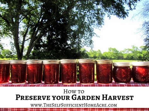 How To Preserve Your Garden Harvest The Self Sufficient Homeacre