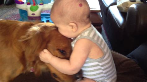 Golden Retriever Gets Slobbery Kisses From Baby Youtube