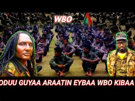 Oduu Guyaa Araatin Eybaa Wbo Zonii Kibaa Oromia Jajjabee Bobasee
