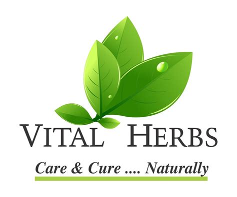 Herbal Extract And Herbal Powder Manufacturer Vital Herbs New Delhi