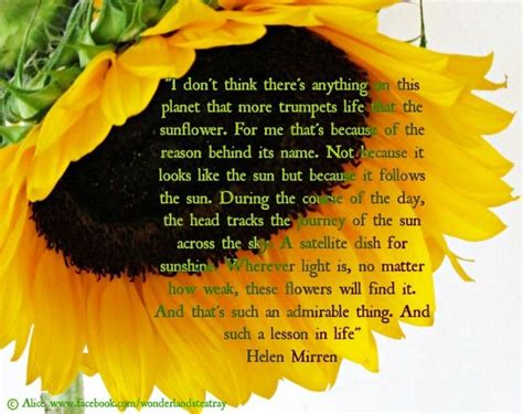 Check spelling or type a new query. Sunflower quote via Alice in Wonderland's TeaTray at www ...