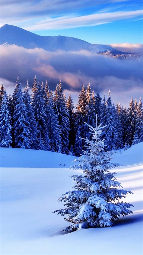 Красивые обои зима фото