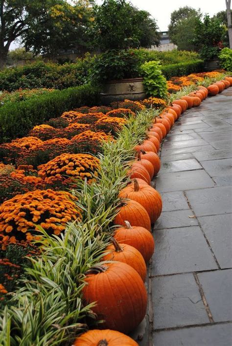 Pin On Fall Decorating Ideas