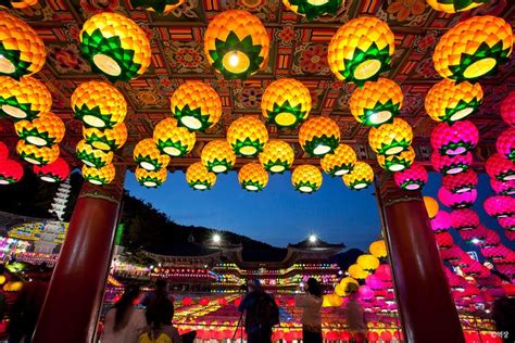 Busan South Korea Lantern Festival Lanterns Busan South Korea