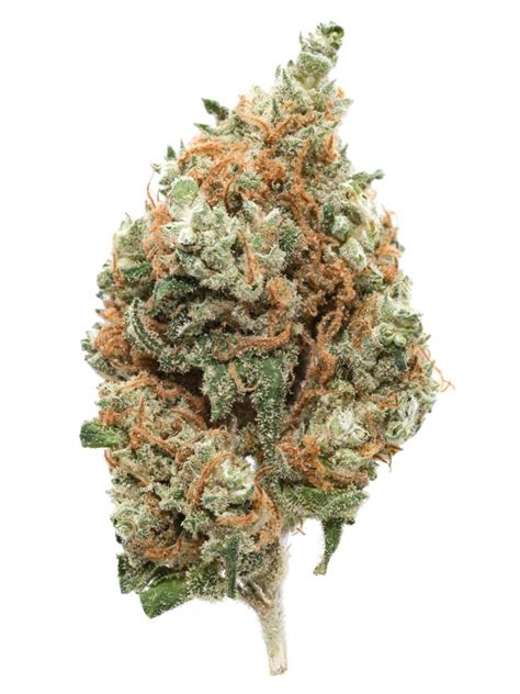 Florida cake by @jungleboys would you pay 60/8th what brand should we do next ? 12 of the most popular strains on Weedmaps ⋆ Medicated ...