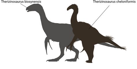Therizinosaurus Comparison With Biosyn Species On Next Slide R