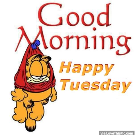 Garfield Good Morning Happy Tuesday Pictures Photos And Images For
