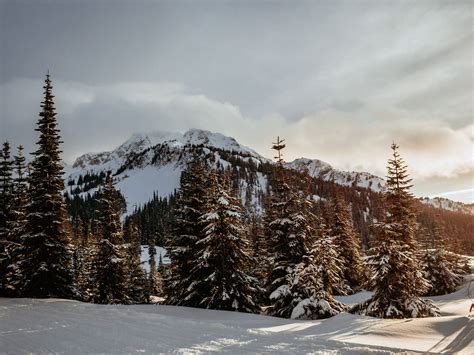 All free high quality resolutions background images and photos for mobile, tablets and desktop. 冬季叢林雪松高山景觀預覽 | 10wallpaper.com