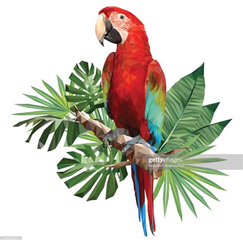 Illustration Polygonal Drawing Of Green Wing Macaw Bird With Tropical