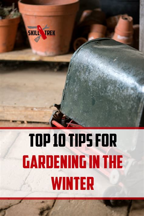 Top 10 Tips For Gardening In The Winter Skill Trek