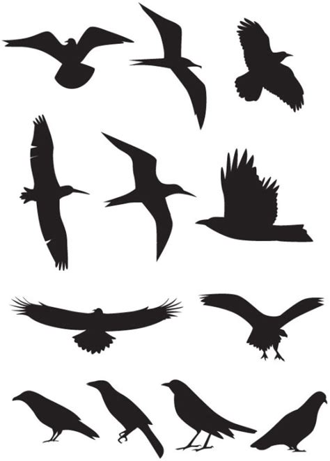 Flying Bird Silhouette Stencils At Getdrawings Free Download
