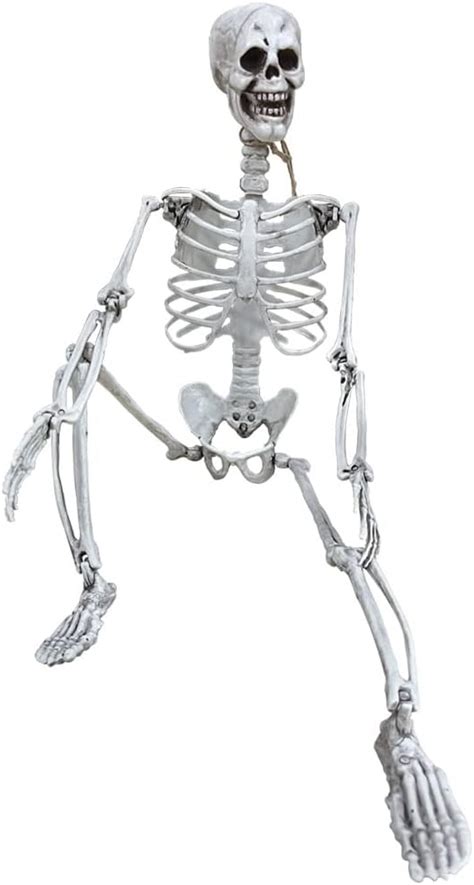 Wocst 275in70cm Halloween Skeleton Full Body Realistic