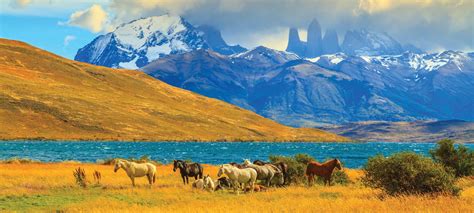 Chile narrowly stretches along the southern half of the west coast of south america, between the andes and the pacific ocean. Wonders of Chile | Latin America, Chile