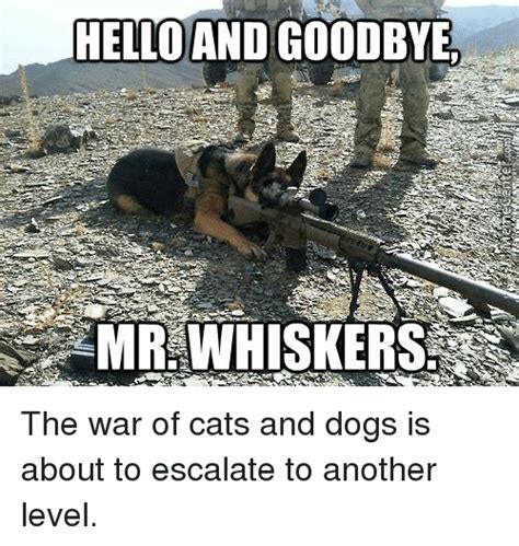 Farewell (meme) slowed down for edgy memes. HELLO AND GOODBYE WHISKERS the War of Cats and Dogs Is About to Escalate to Another Level | Dogs ...