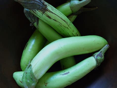 Eggplant is depressed globose to. Green Long Eggplant - O'ahu Fresh