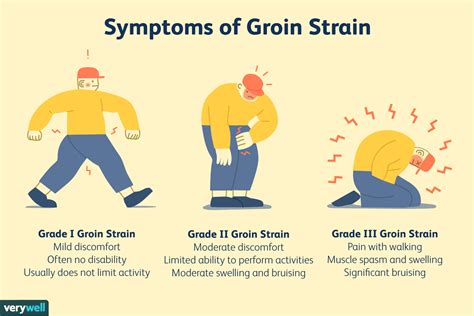 Pulled Groin Muscle Symptoms Causes Treatment Prevention