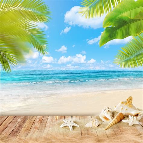 Summer Beach Background Png Background Sea Leaves