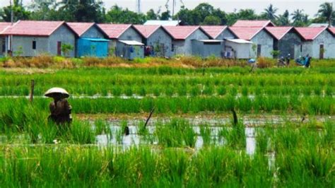 Sinkronisasi pembangunan kawasan perdesaan dengan penataan ruang dan perlindungan lahan pertanian. Alih Fungsi Lahan Pertanian di Bali Sangat Tinggi | Pontas