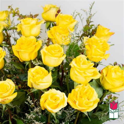 Beretanias 15 Dozen Extra Long Stem Yellow Rose Bouquet In Honolulu