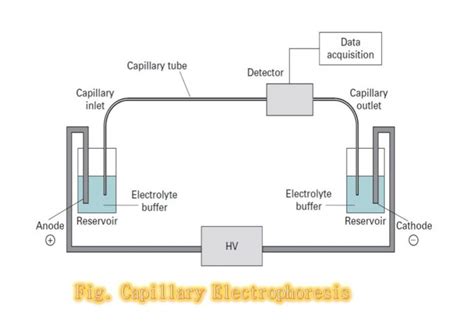 Capillary Electrophoresis Introduction Instrumentation Procedure