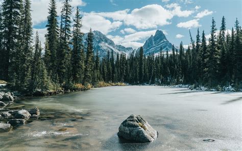 1680x1050 Frozen Lake Covered In Trees Forest 5k 1680x1050