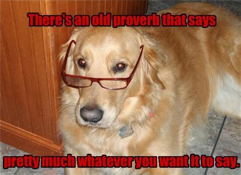 Wise Retriever Is Wise I Has A Hotdog Dog Pictures