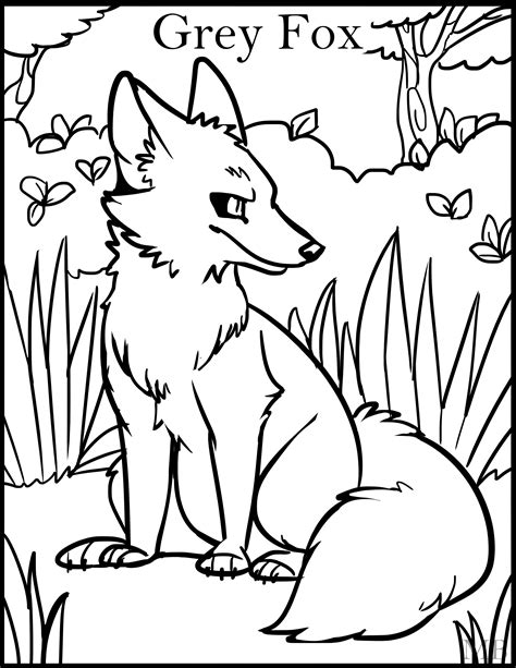 Coloring Pages Of Wolf Animal Place