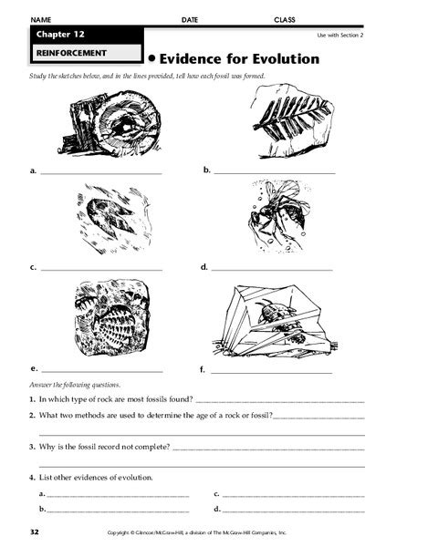 Evolution Worksheet 6th Grade