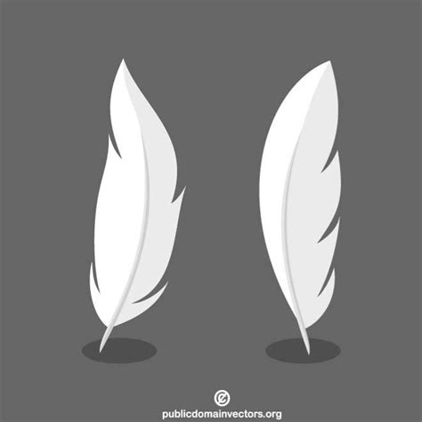 TWO FEATHERS Royalty Free Stock SVG Vector And Clip Art