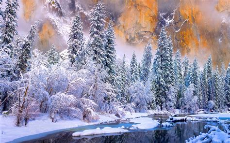 Winter Yosemite National Park River Cold Snow Forest White Trees Ice