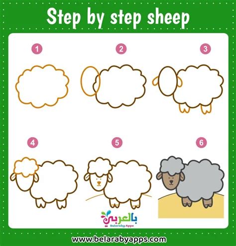How To Draw A Sheep Easy Step By Step ⋆ Belarabyapps