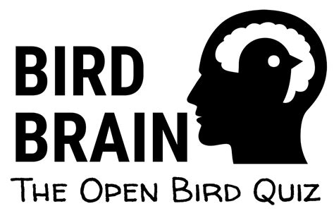 Bird logos, including eagles and designs featuring wings. Bengaluru Bird Day | Celebrating Group Birdwatching in ...