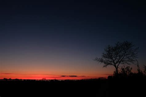 Wallpaper Sunset Horizon Tree Sky Night Hd Widescreen High