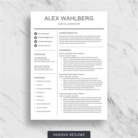 Clean Resume Template Design For Word Innova Resume