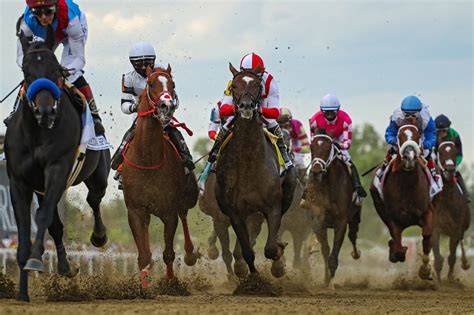 Early Look At Belmont Stakes Reveals No Clear Favorite The New York Times