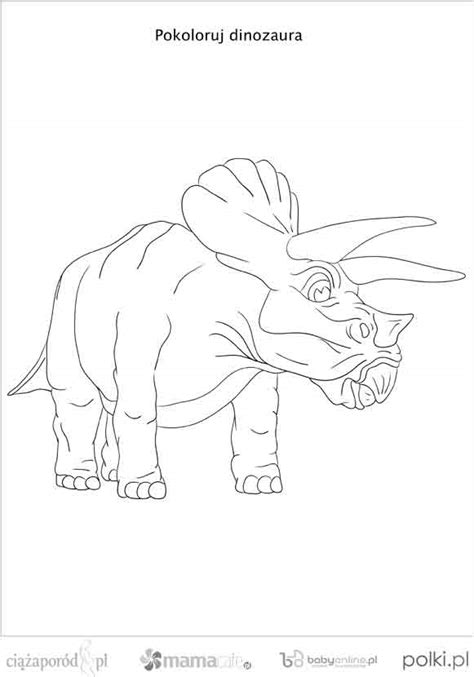 Tyranozaur rex, diplodok, triceratops, brontozaur. Dinozaury - kolorowanki dla dzieci | Mamotoja.pl