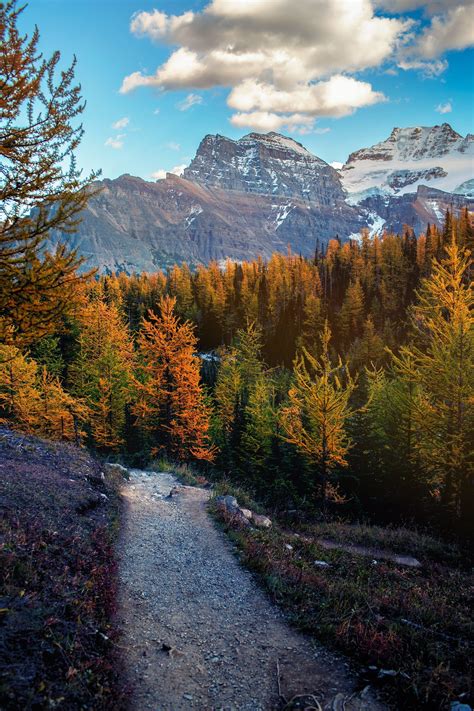 Valley Of The Ten Peaks Larch Valley And Sentinel Pass Best Hike In Banff In 2021 Hiking