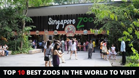 Top 10 Best Zoos In The World To Visit Most Amazing Zoos Of All Time