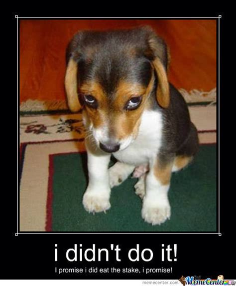 I think the first sentence should be correct. I Didn't Do It! by recyclebin - Meme Center